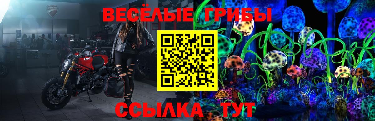 Псилоцибиновые грибы Magic Shrooms  Вход с VPN  Кировск  цена наркотик  Галлюциногенные грибы Cubensis 